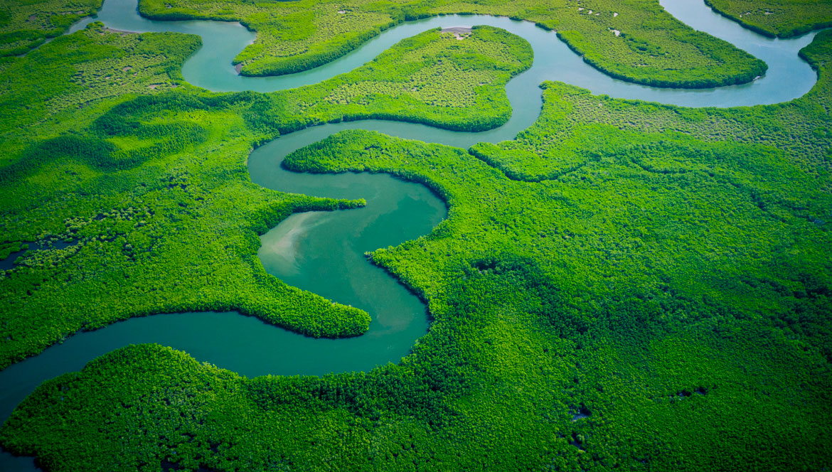 nos-engagements-pour-la-nature.jpg