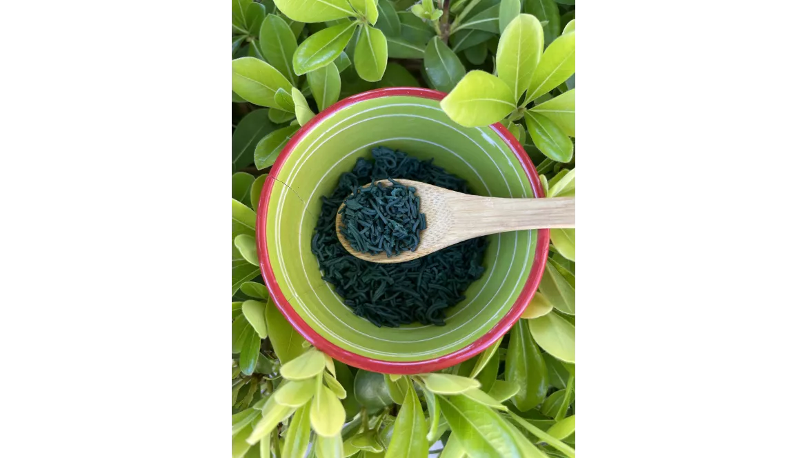 Spiruline et bêta-carotène : un allié naturel pour préparer la peau au soleil
