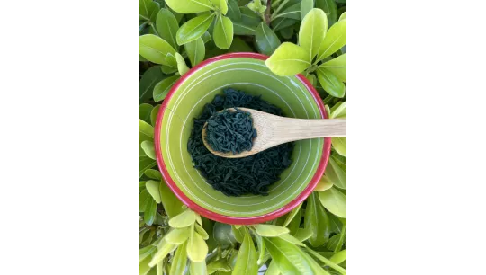 Spiruline et bêta-carotène : un allié naturel pour préparer la peau au soleil